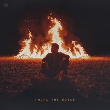 Among The Noise