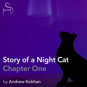 Story of a Night Cat: Chapter One