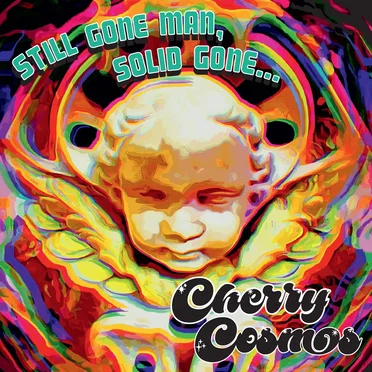 Brother Your Time Will Come by Cherry Cosmos - album cover