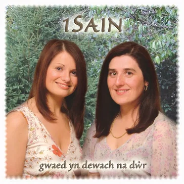Gwaed Yn Dewach Na Dwr by 1Sain - album cover