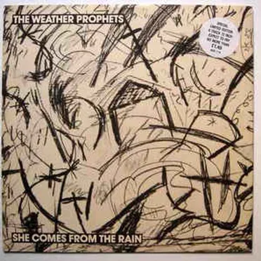 She Comes From the Rain