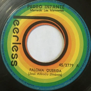 Amorcito de mi vida / Paloma querida