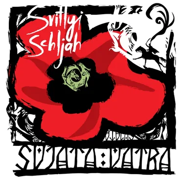 Svitlyi schljah