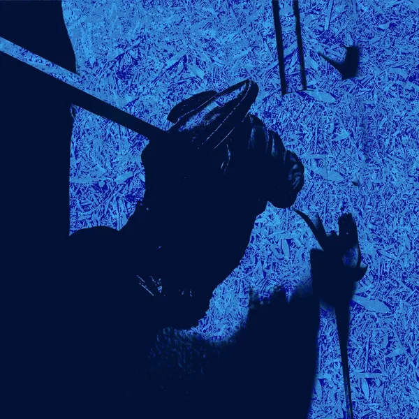 HOUSEBREAKER