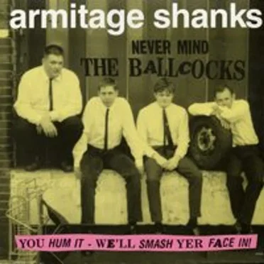 Never Mind the Ballcocks