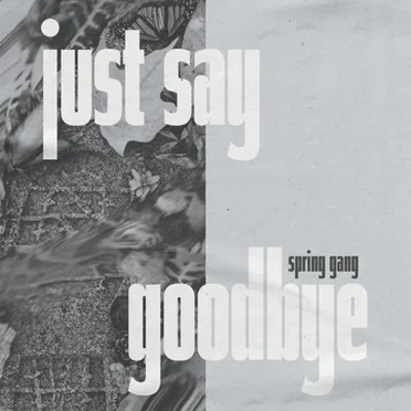 Just Say Goodbye by Spring Gang - album cover