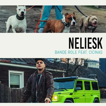 Neliesk by Bande Role - album cover