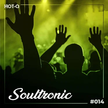 Soultronic 014 by Various Artists - album cover
