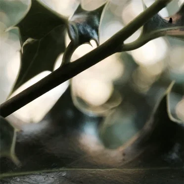 Xmas Denied (Serf Complex)