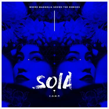 Run With Wolves (C.O.W. 牛 Remix) by Soia - album cover