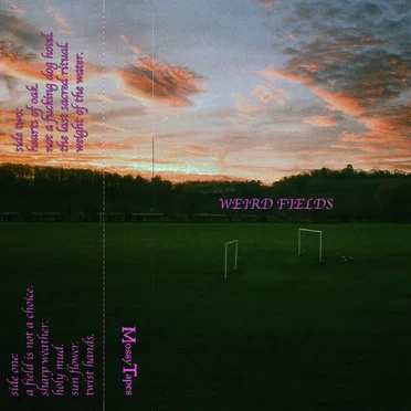 Weird Fields by Weird Fields - album cover
