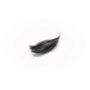 Lonely crowd by the mistress - album cover