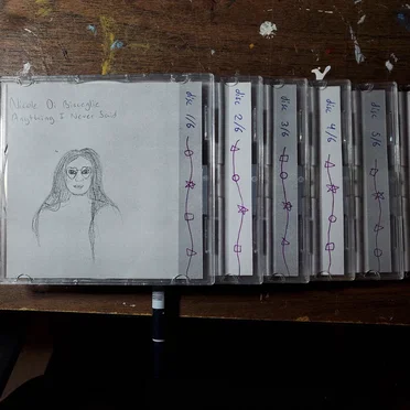 Anything I Never Said by Nicole Di Bisceglie - album cover