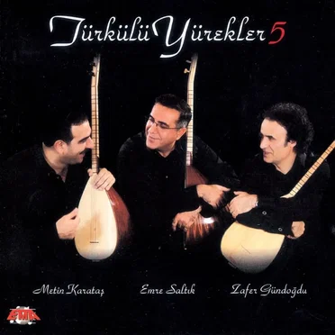 Türkülü Yürekler 5 by Various Artists - album cover