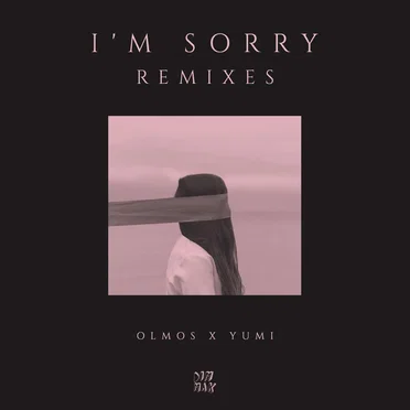 I’m Sorry (Remixes)