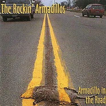 Armadillo in the Road by The Rockin' Armadillos - album cover