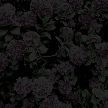 Petals of Torn Flesh