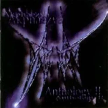 Anthology II by Akphaezya - album cover