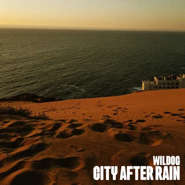 City after rain