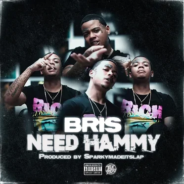 Need Hammy by Bris - album cover