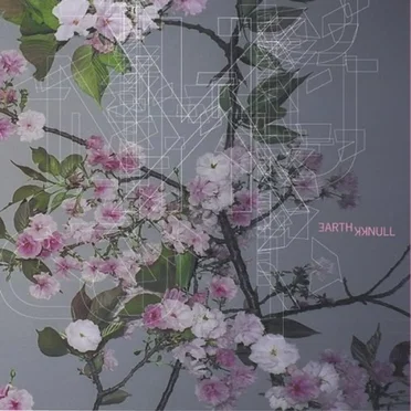 Earth / KK Null