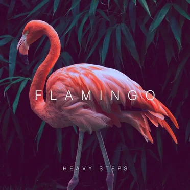 Heavy Steps by Flamingo - album cover