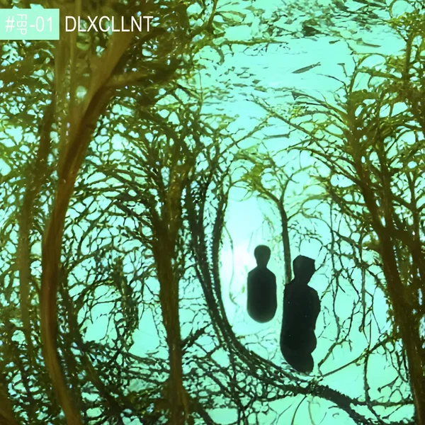 DLXCLLNT