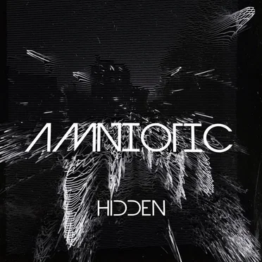 HIDDEN
