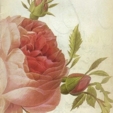 Rosarium Hermeticum