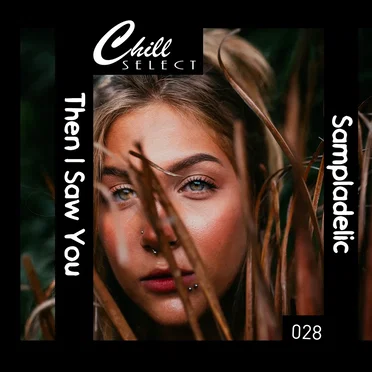 Then I Saw You by Sampladelic - album cover