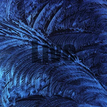 Chilloutzone.FM: 150102 See by Various Artists - album cover