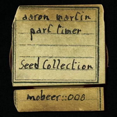 Seed Collection
