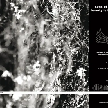 Beauty Is Imperfection by Sons of Melancholia - album cover