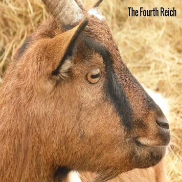 The Fourth Reich by Fatal Erection - album cover
