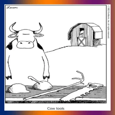 cow tools (interlude) by stage name - album cover