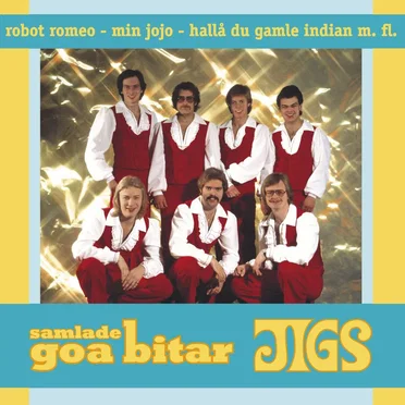 Samlade goa bitar by Jigs - album cover