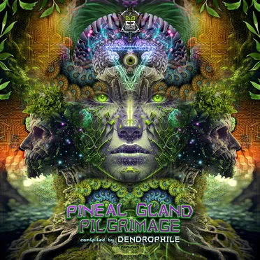 Pineal Gland Pilgrimage by Various Artists - album cover