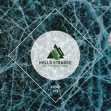 hello strange story #13 by Various Artists - album cover