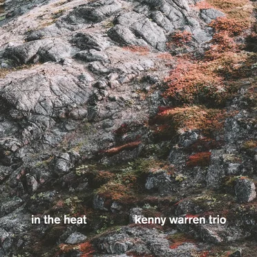 In the Heat by Kenny Warren Trio - album cover