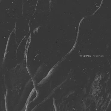 Wounds by Fvnerals - album cover