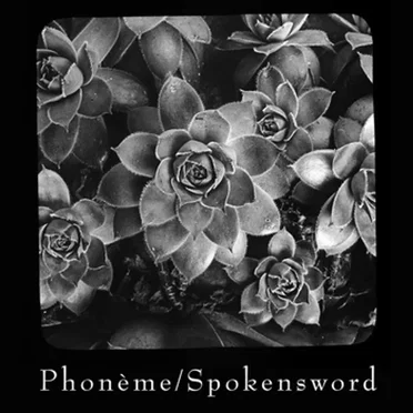 Sempervivum