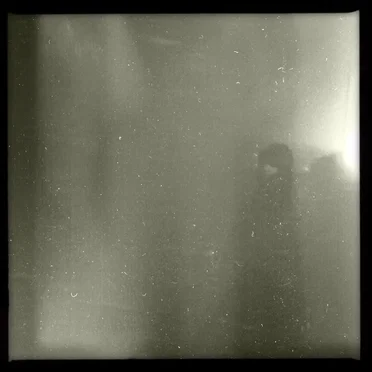 Waking Nervous by We Miss the Earth - album cover