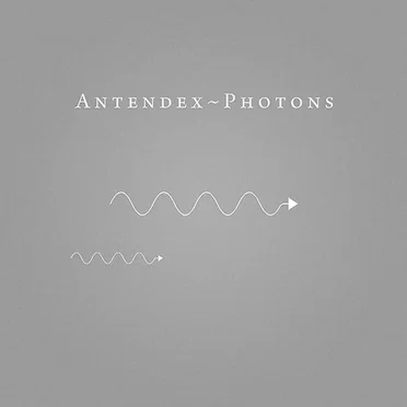 Photons