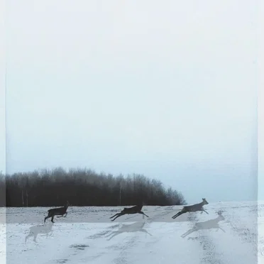 Песни