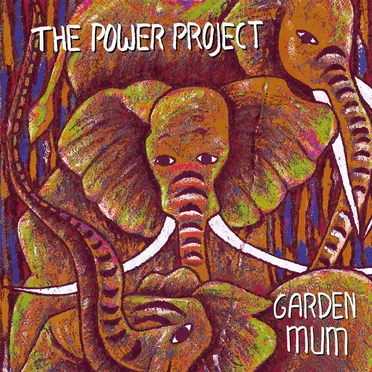 The Power Project