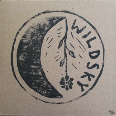 Wild Sky by Wild Sky - album cover