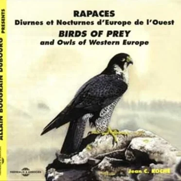 Rapaces diurnes et nocturnes d’Europe de l’Ouest / Birds of Prey and Owls of Western Europe