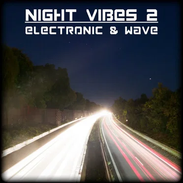 Night Vibes 2 by Various Artists - album cover
