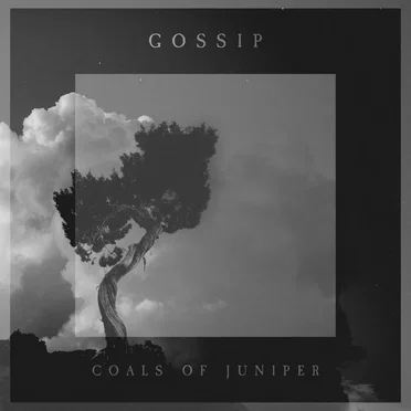 Coals of Juniper by Gossip - album cover