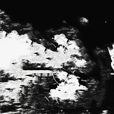 To Touch the Sadness of the World